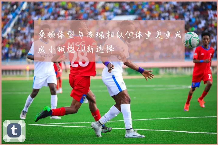 桑顿体型与洛瑞相似但体重更重或成小钢炮20新选择