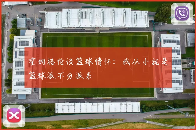 霍姆格伦谈篮球情怀：我从小就是篮球派不分派系