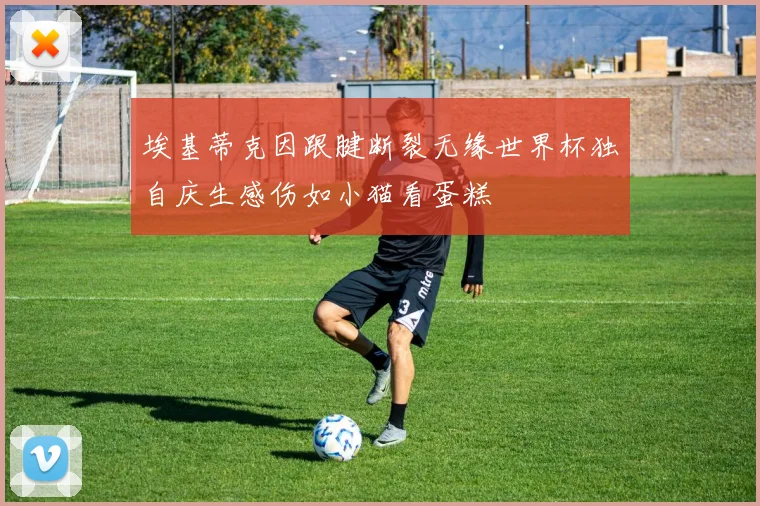 埃基蒂克因跟腱断裂无缘世界杯独自庆生感伤如小猫看蛋糕