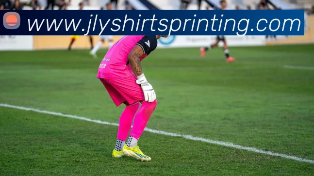 开云app网站登录平台生态图